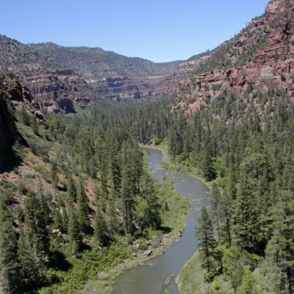 river view from above