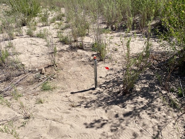A stake and a flag in the sand indicate a groundwater monitoring well.