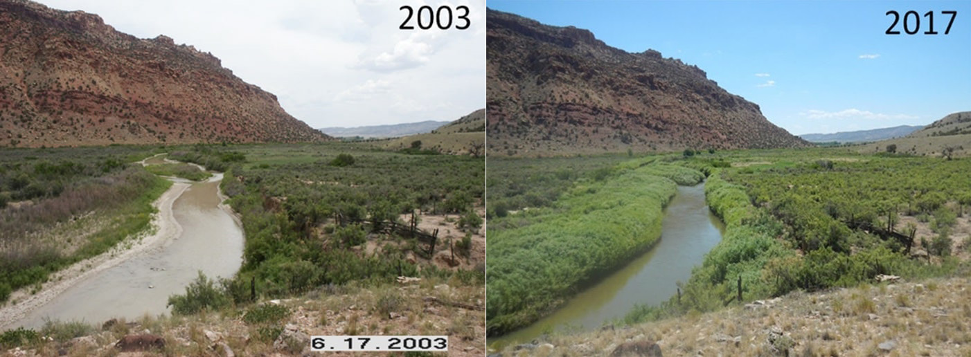 Two views of the river, depicting narrowing flow and increased vegetation.