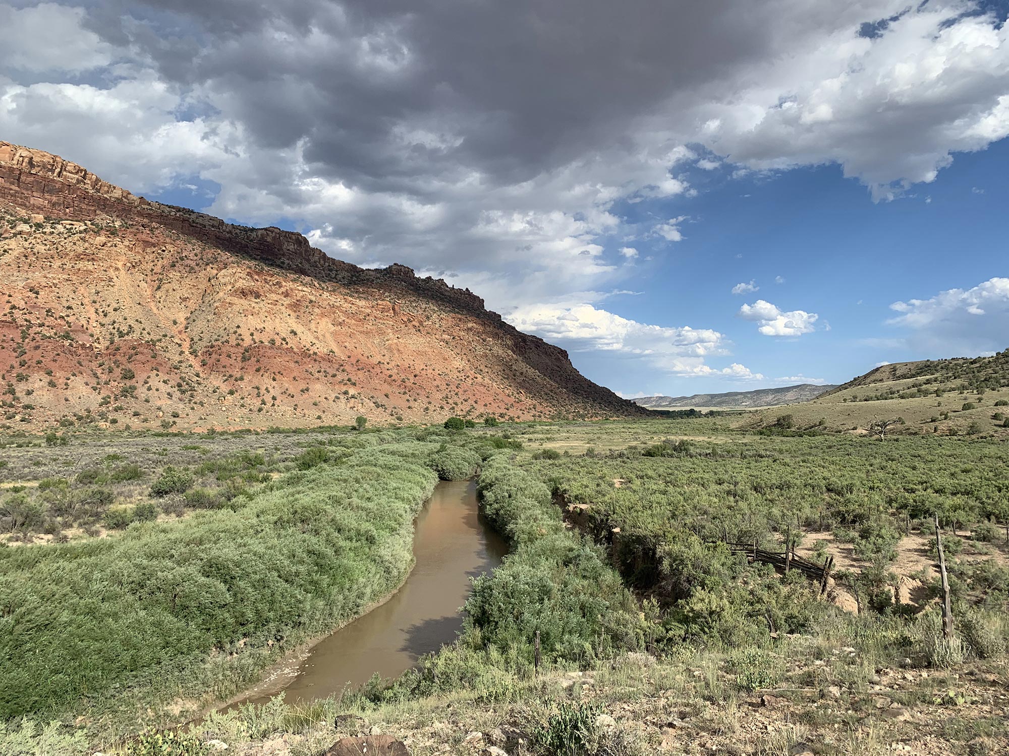Figure B. Dolores River in Big Gypsum Valley with dense willow fringe lining the banks and simplifying the channel. Photo by C. Dott, July 2024.