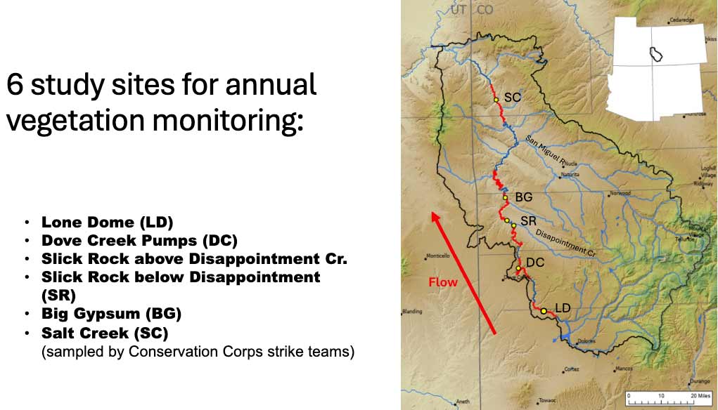 Figure X. Map of the Dolores River basin showing locations of 6 vegetation monitoring sites.