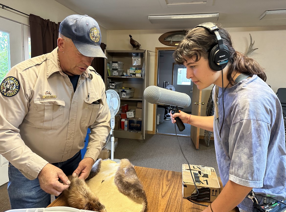 Klara Goldman interviewing a Colorado Parks and Wildlife staff while looking at a beaver pelt together